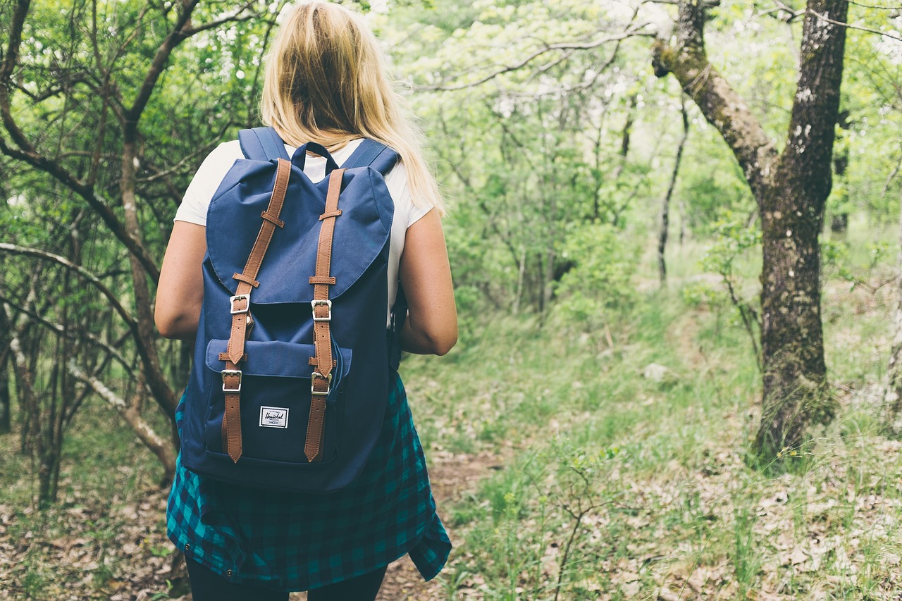 Hiking the Enchanting Trails of Olympic National Park